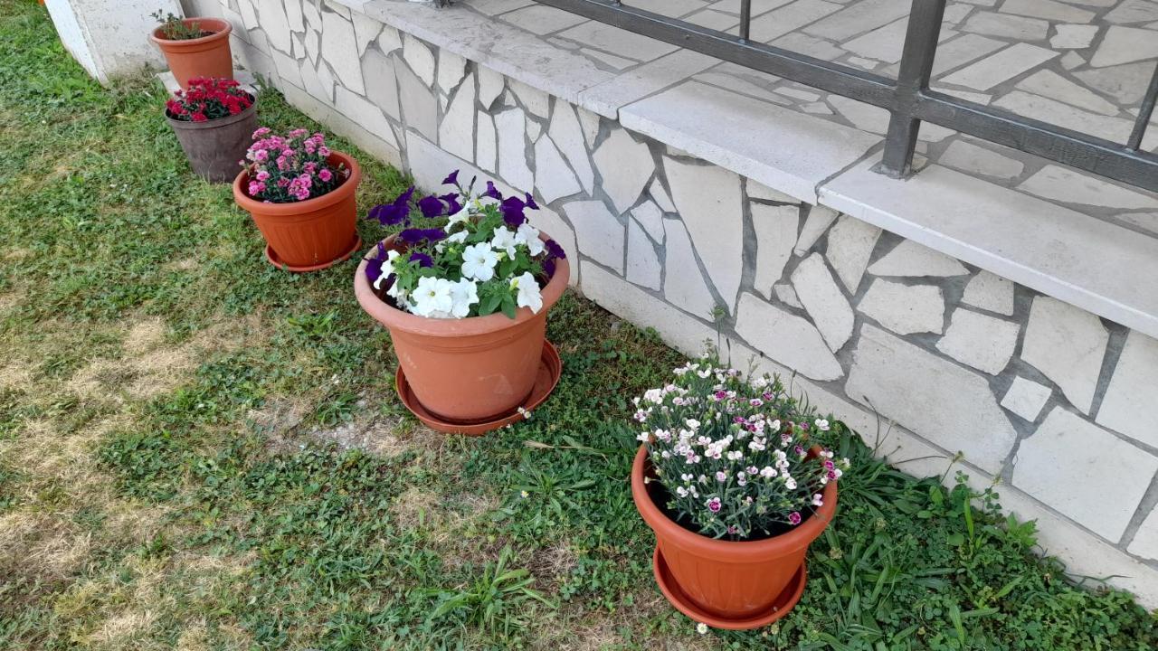 ČapljinaKamena Kuca Family Rodin公寓 外观 照片